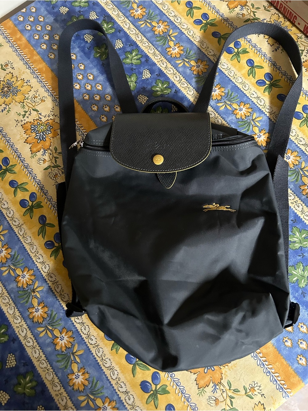 Longchamp Black Backpack with Gold Logo Accent